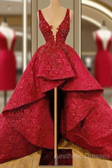 Red Lace Evening Prom Dresses Elegant Cocktail Dresses Party Sexy Celebrity Dresses