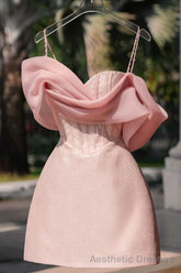 Simple Sheath Straps Pink Homecoming Dresses 16th Birthday Outfits