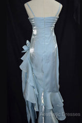 Retro Baby Blue Vintage Floral Dresses Asymmetrical Hem Evening Prom Gown